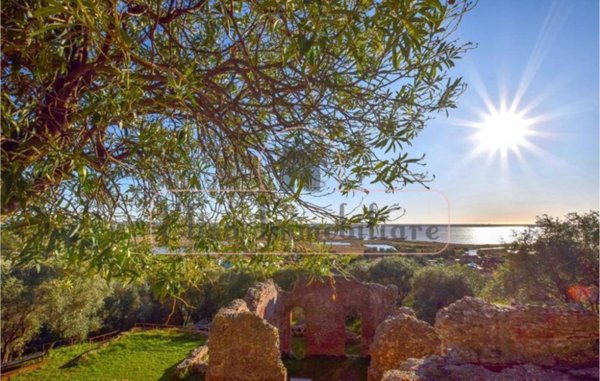 casa indipendente in affitto a Massarosa in zona Massaciuccoli