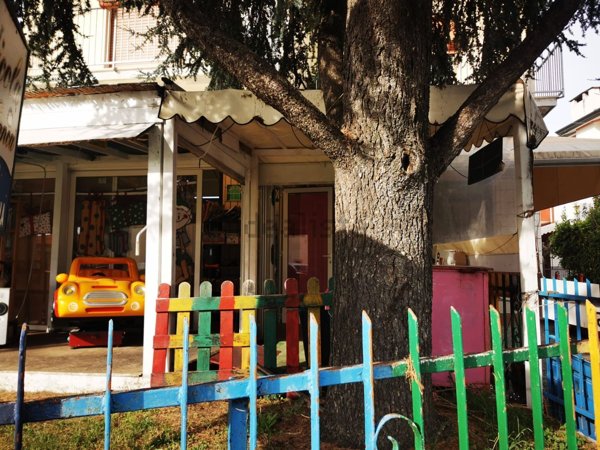 negozio in affitto a Massarosa