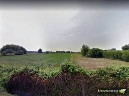 terreno agricolo in affitto a Massarosa in zona Piano di Mommio