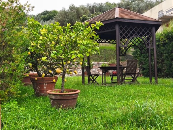 casa indipendente in affitto a Massarosa