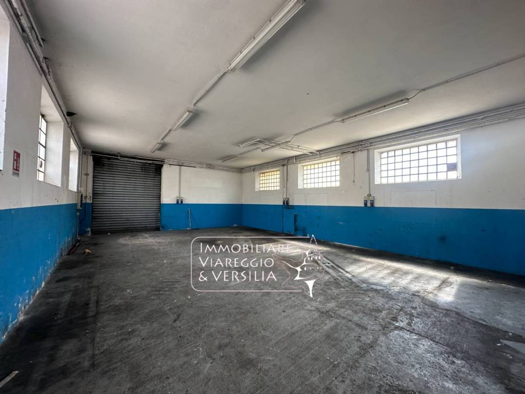 locale commerciale in affitto a Massarosa