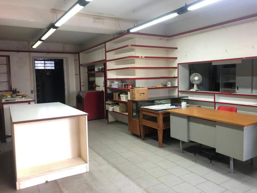 appartamento in affitto a Massarosa