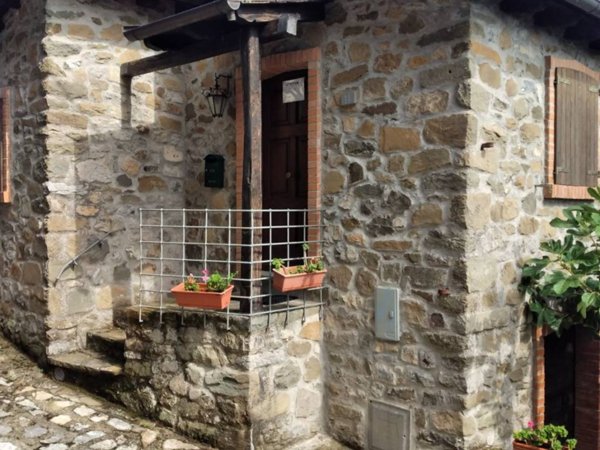 casa indipendente in affitto a Minucciano