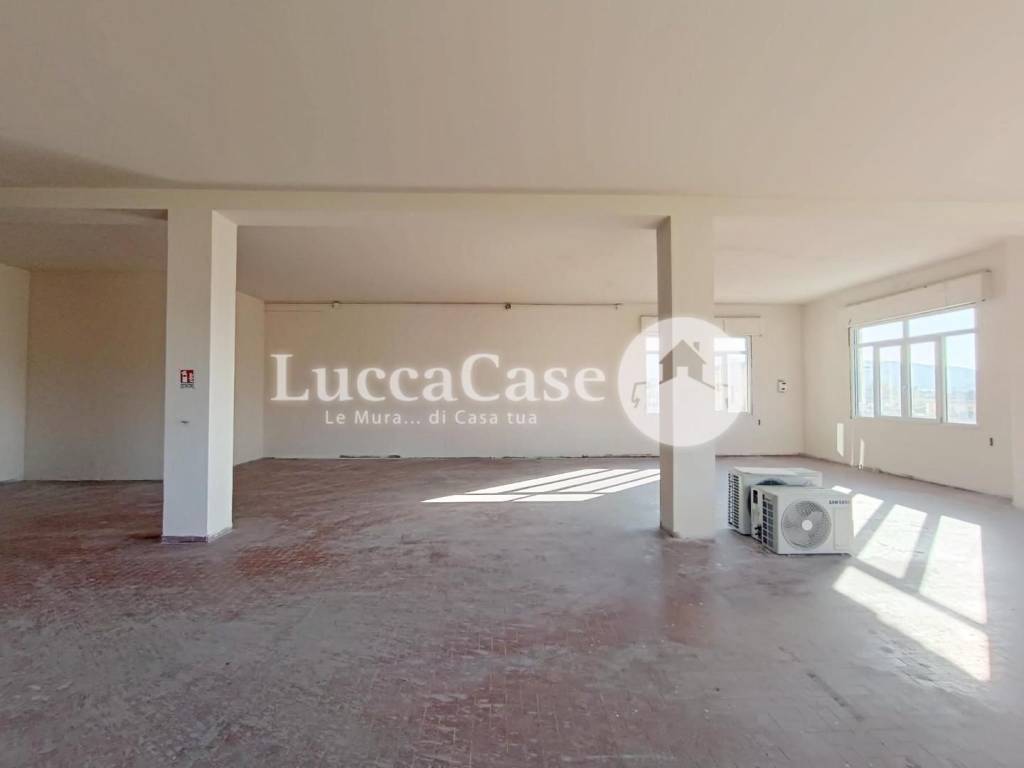 negozio in affitto a Montecarlo