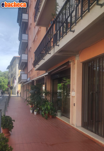 appartamento in affitto a Piazza al Serchio in zona San Michele