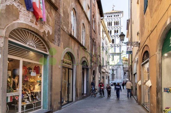 negozio in affitto a Piazza al Serchio in zona San Michele