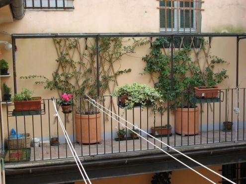 appartamento in affitto a Pietrasanta