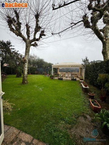appartamento in affitto a Pietrasanta