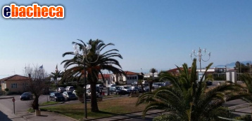 appartamento in affitto a Pietrasanta in zona Tonfano