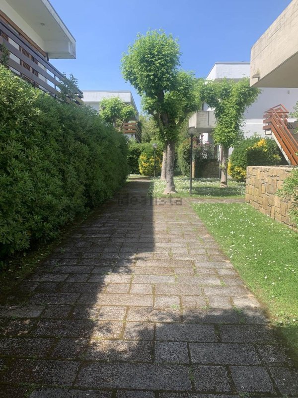 appartamento in affitto a Pietrasanta in zona Focette