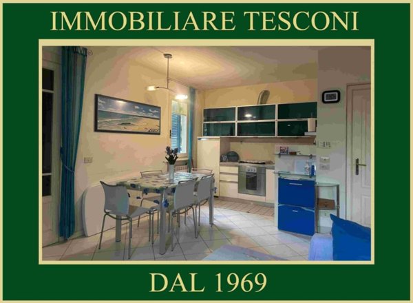 appartamento in affitto a Pietrasanta in zona Castello