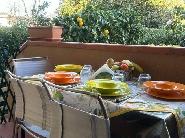 casa indipendente in affitto a Pietrasanta