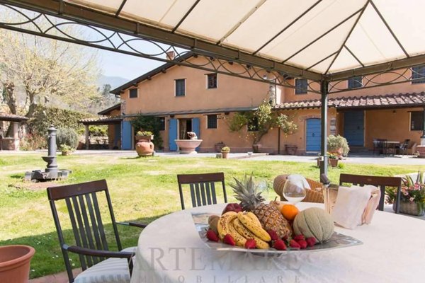 casa indipendente in affitto a Pietrasanta