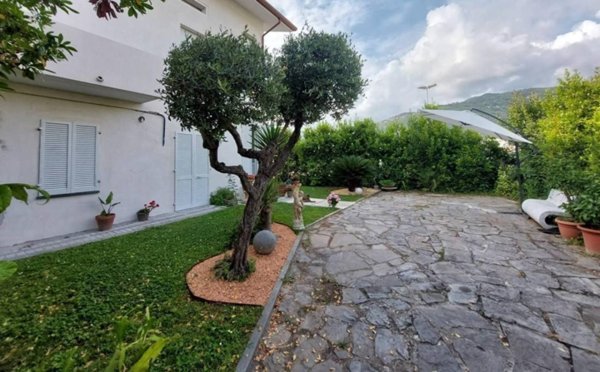 appartamento in affitto a Pietrasanta