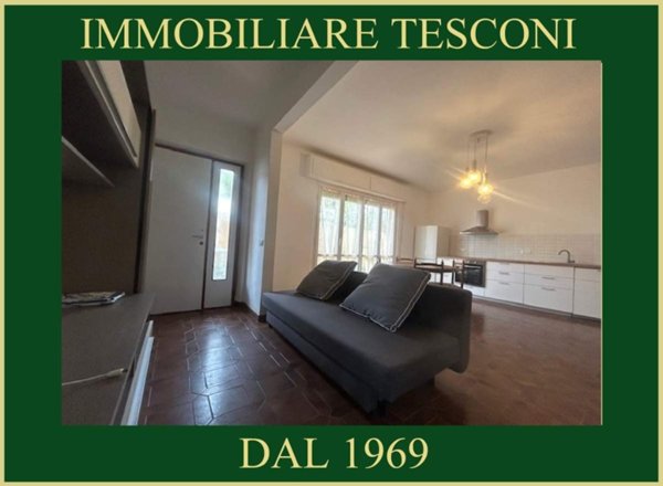 appartamento in affitto a Pietrasanta in zona Vignone