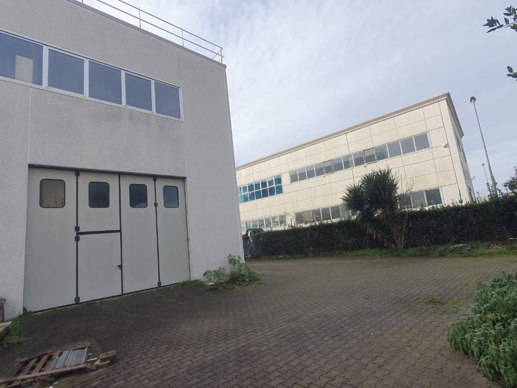 locale commerciale in affitto a Pietrasanta