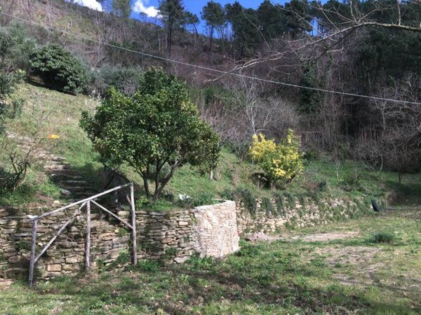 casa indipendente in affitto a Pietrasanta