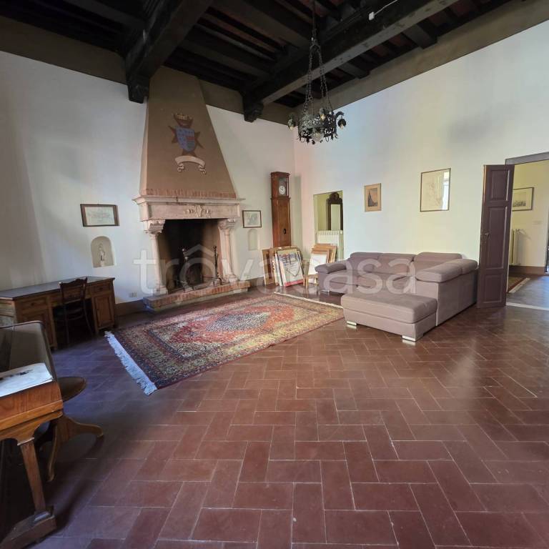 appartamento in affitto a Pietrasanta