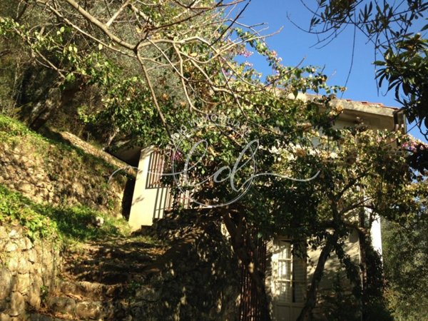 appartamento in affitto a Pietrasanta in zona Valdicastello