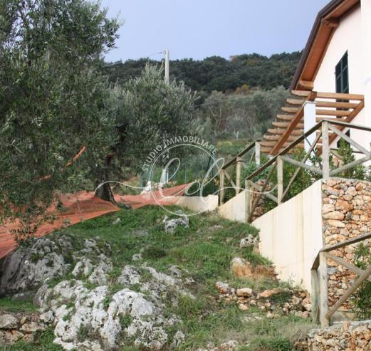 casa indipendente in affitto a Pietrasanta