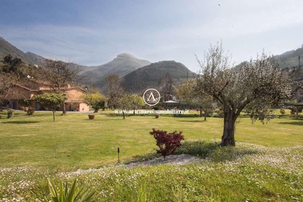 casa indipendente in affitto a Pietrasanta