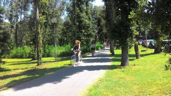 casa indipendente in affitto a Pietrasanta in zona Marina di Pietrasanta