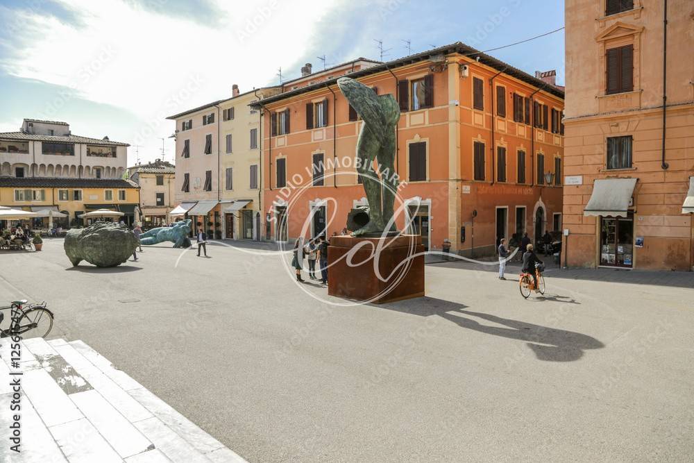 appartamento in affitto a Pietrasanta