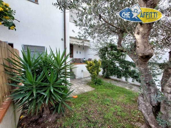 casa indipendente in affitto a Pietrasanta in zona Vignone