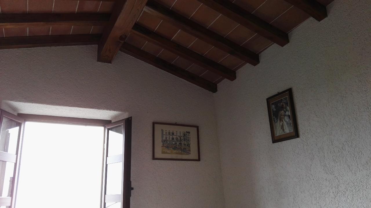 casa indipendente in affitto a Pietrasanta
