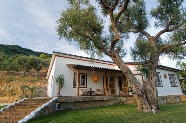 casa indipendente in affitto a Pietrasanta