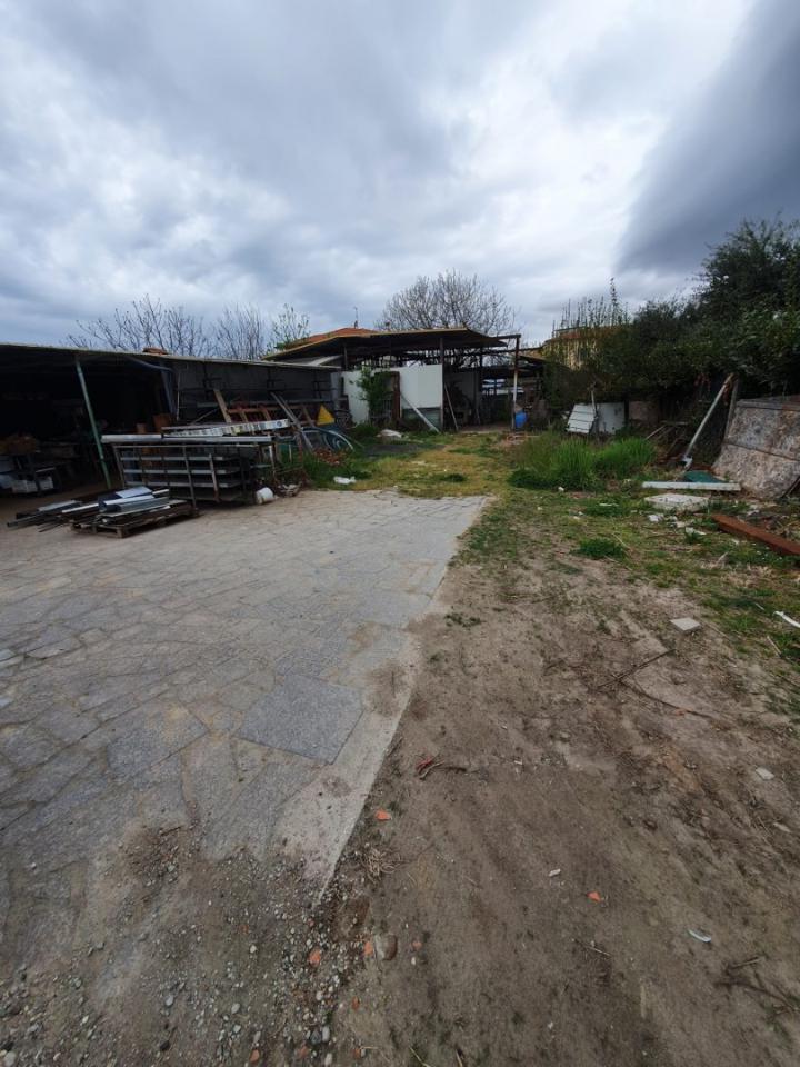 terreno agricolo in affitto a Pietrasanta