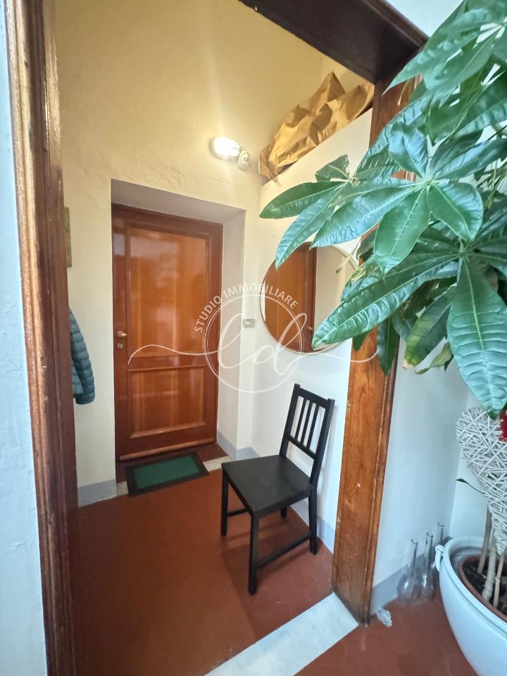 appartamento in affitto a Pietrasanta