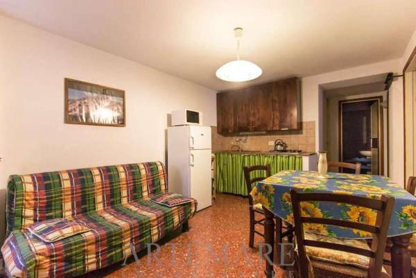 appartamento in affitto a Pietrasanta