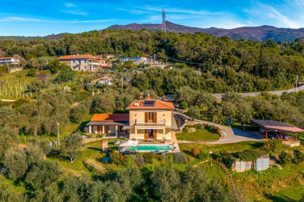 negozio in affitto a Pietrasanta in zona Strettoia