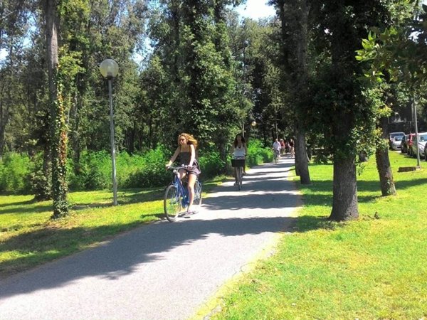 casa indipendente in affitto a Pietrasanta in zona Fiumetto