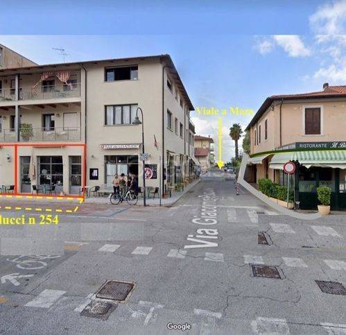 negozio in affitto a Pietrasanta in zona Vignone