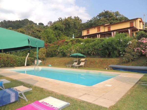 casa indipendente in affitto a Pietrasanta