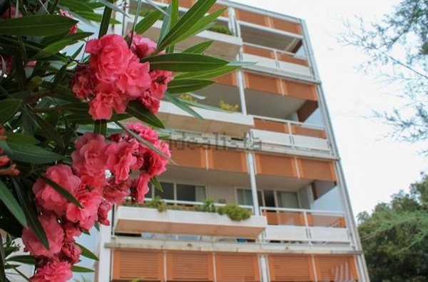 appartamento in affitto a Pietrasanta in zona Motrone