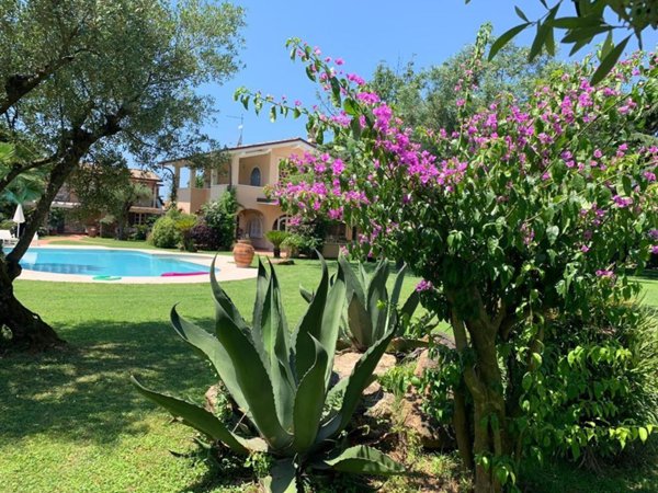 casa indipendente in affitto a Pietrasanta