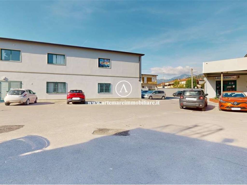 negozio in affitto a Pietrasanta