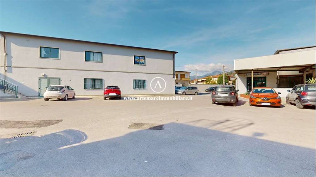 negozio in affitto a Pietrasanta