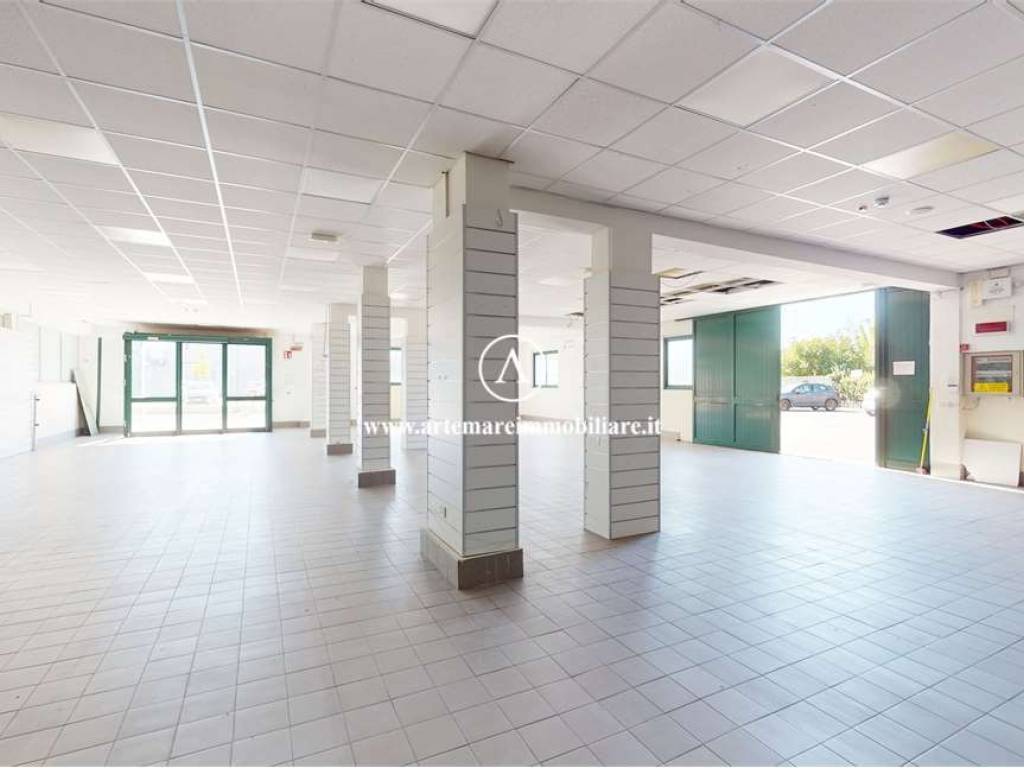 negozio in affitto a Pietrasanta