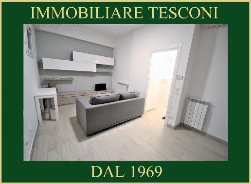 appartamento in affitto a Pietrasanta in zona Vignone