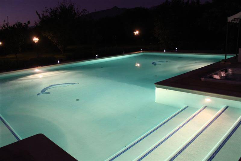 casa indipendente in affitto a Pietrasanta