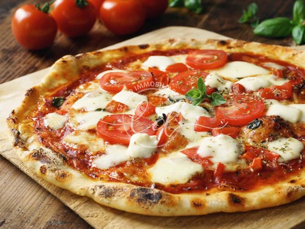 appartamento in affitto a Pietrasanta