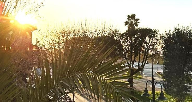 quadrivano in affitto a Pietrasanta in zona Tonfano