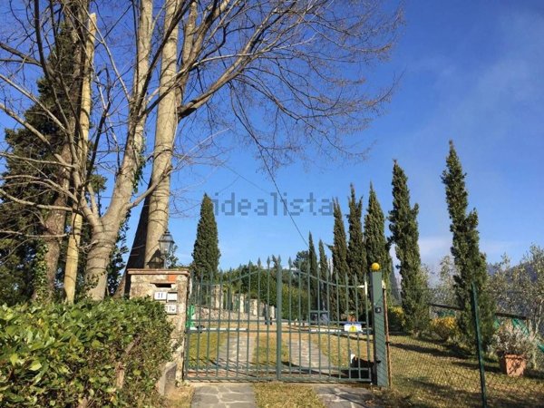 esavano in affitto a Pietrasanta in zona Capriglia