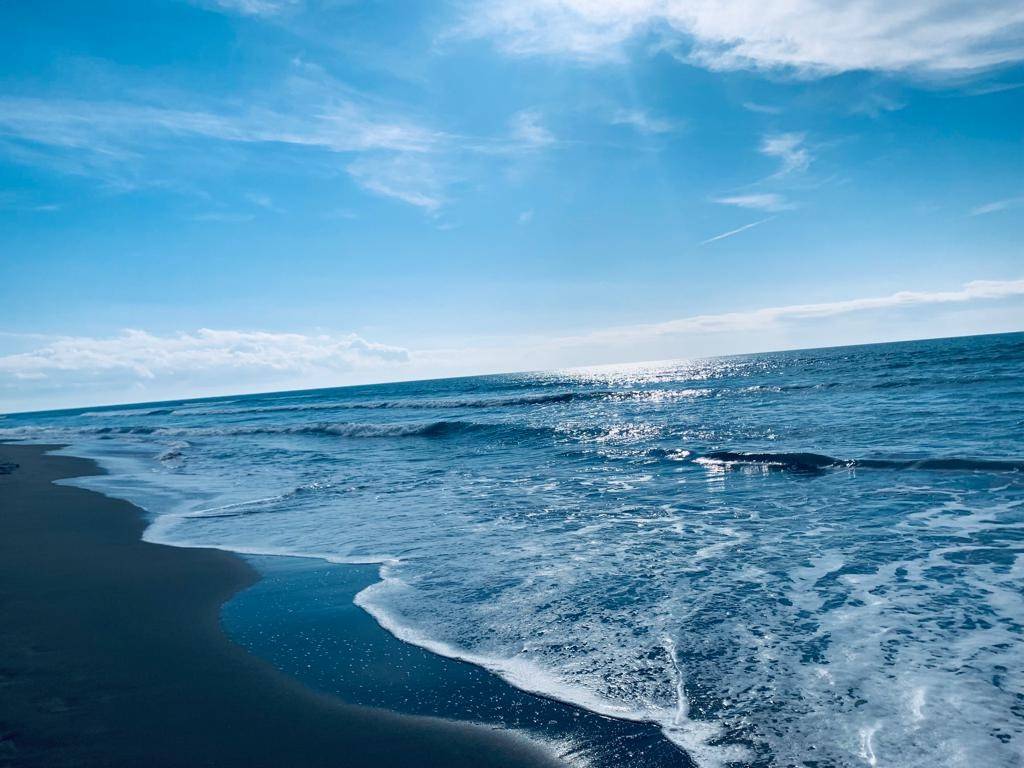 appartamento in affitto a Pietrasanta