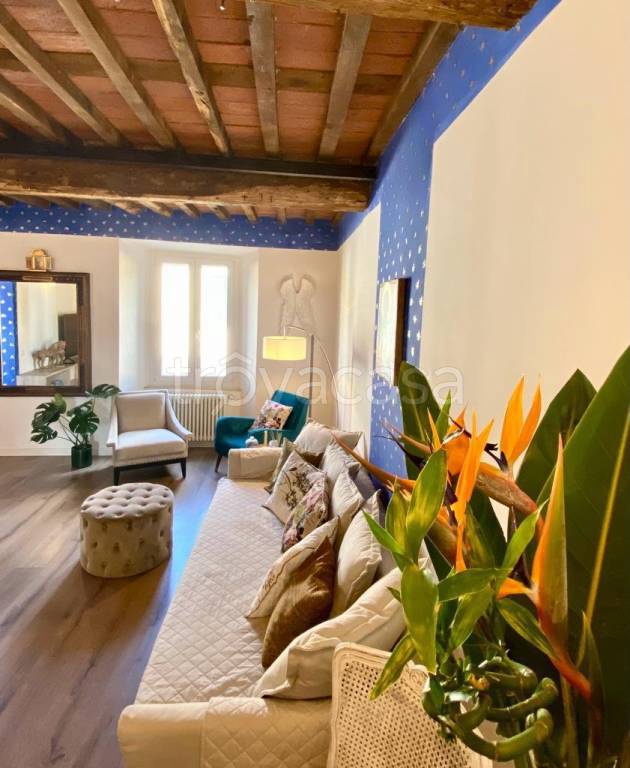 appartamento in affitto a Pietrasanta