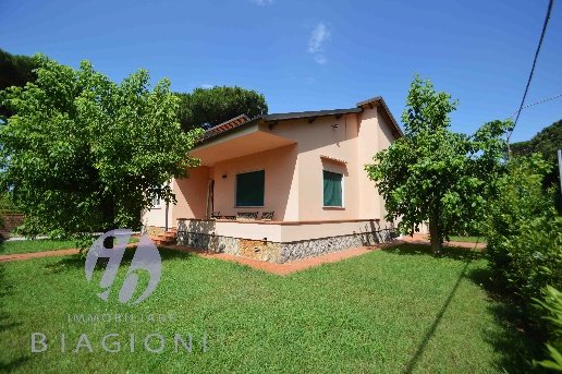 casa indipendente in affitto a Pietrasanta